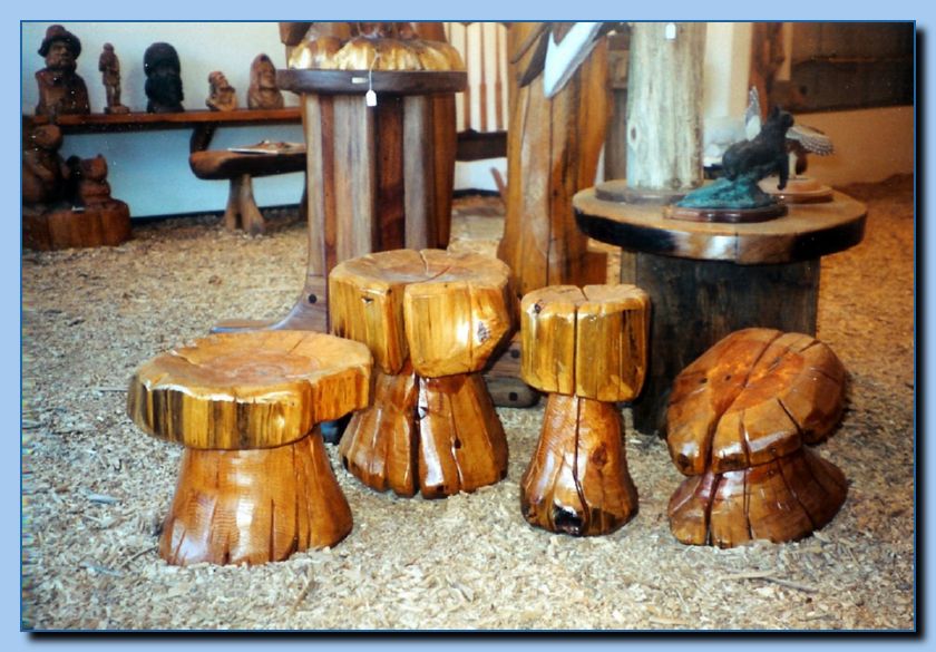 1-19 toad stools